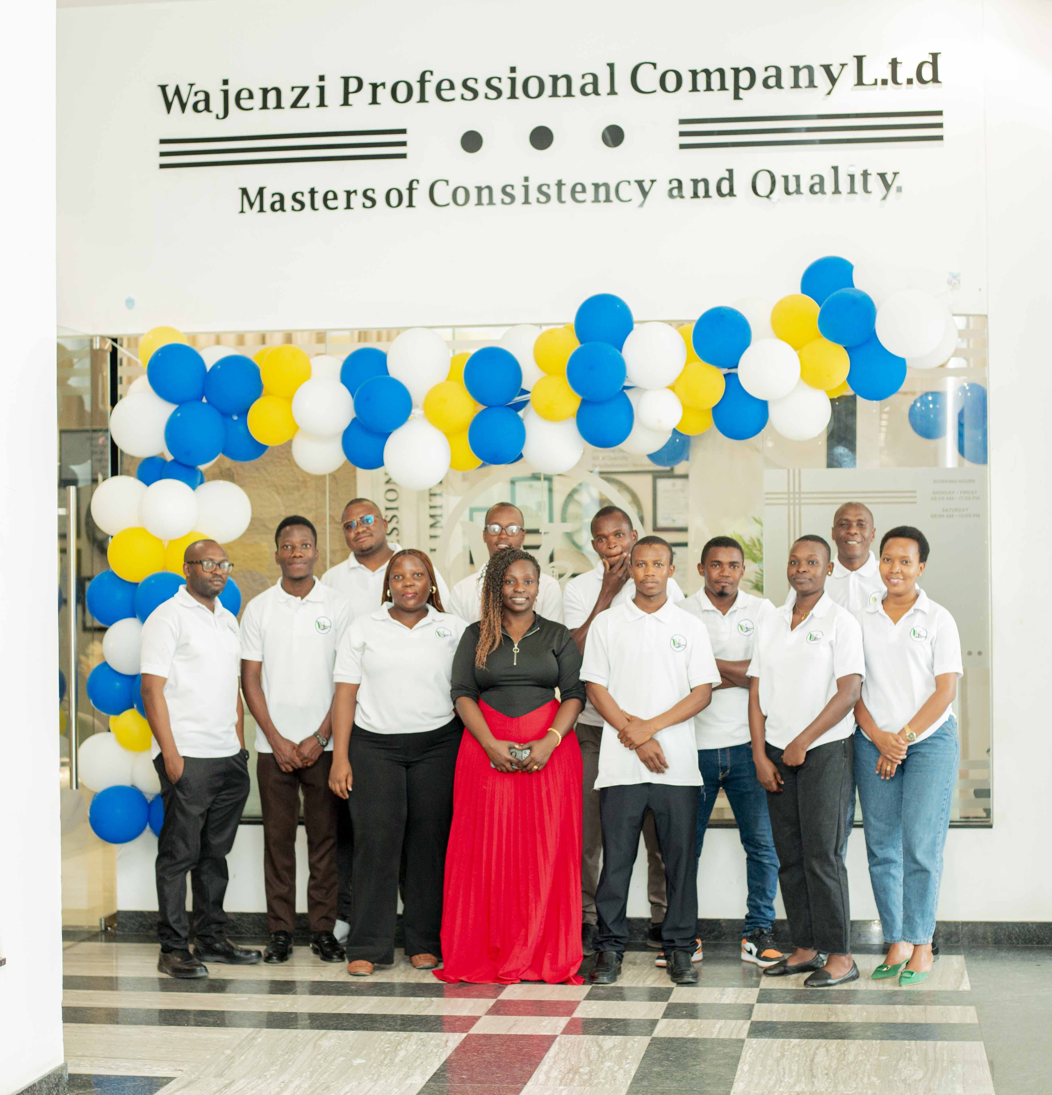 About Wajenzi Professional